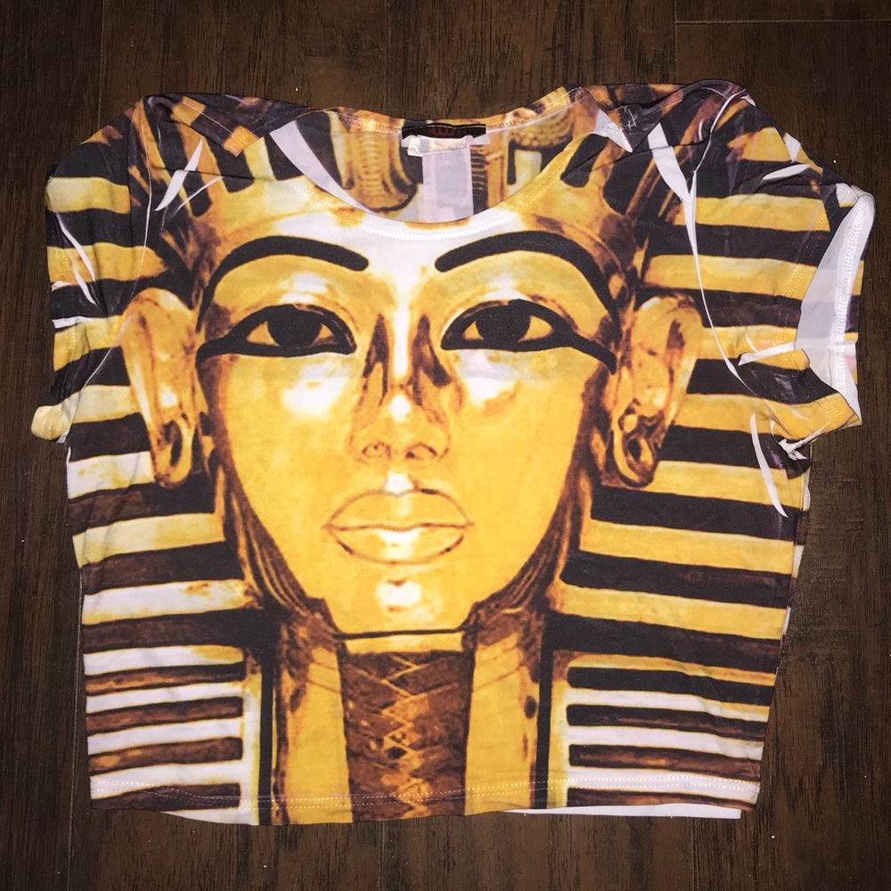 Egyptian inspired printed Crop Top